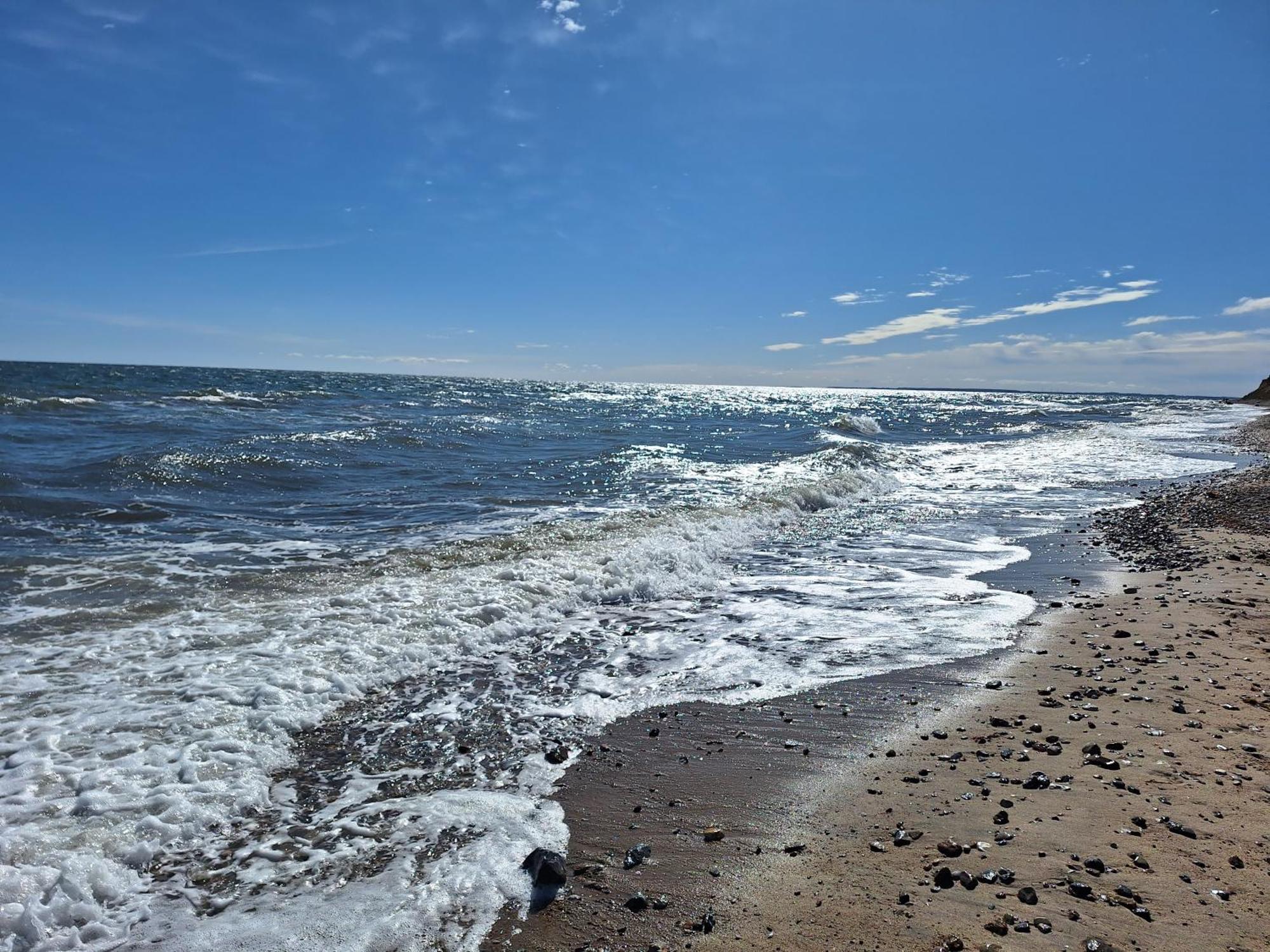 Ostseenest * Schonhagen (Schleswig-Holstein)